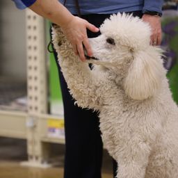 photograph by PeterW